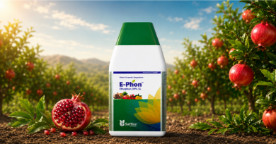 Plant Nutrition